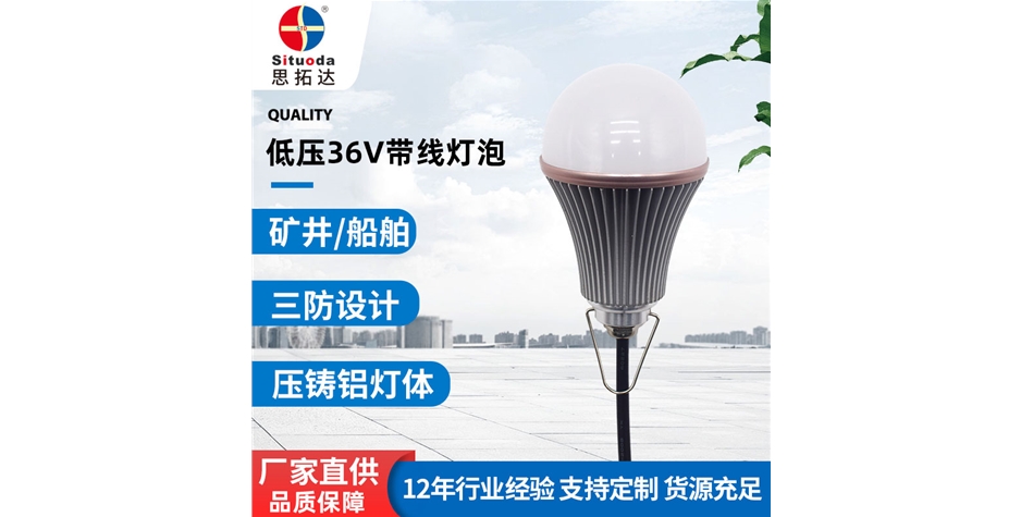 低壓36V帶線(xiàn)車(chē)鋁球泡燈